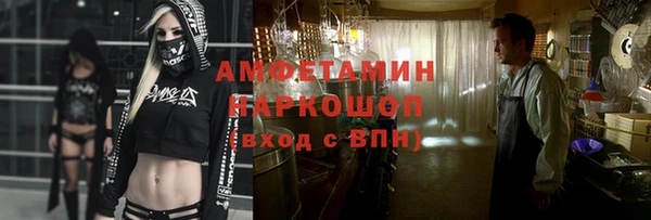 хмурый Алексин