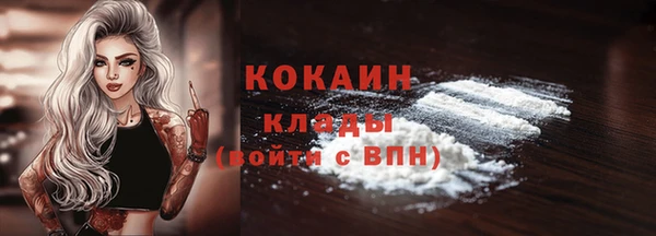 хмурый Алексин