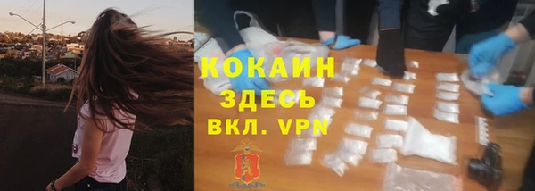 хмурый Алексин