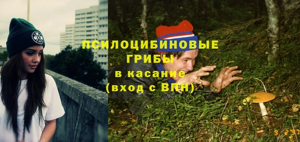 хмурый Алексин