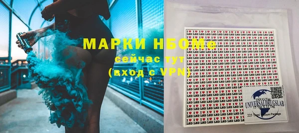 хмурый Алексин