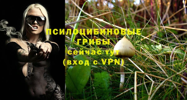 ПСИЛОЦИБИНОВЫЕ ГРИБЫ Кодинск
