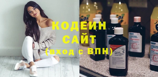 хмурый Алексин