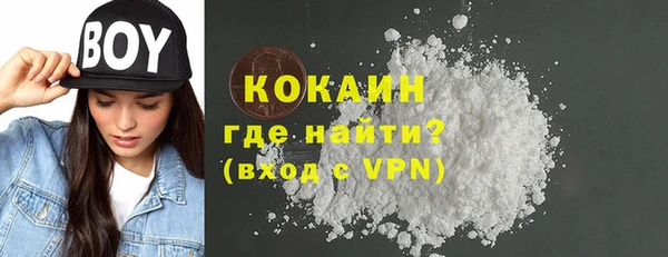 хмурый Алексин
