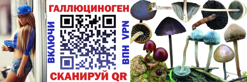 Псилоцибиновые грибы MAGIC MUSHROOMS  Кимры 