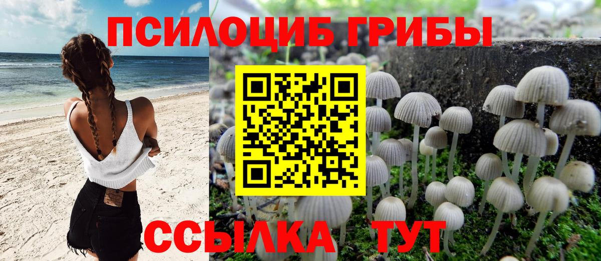 Галлюциногенные грибы мицелий  Вход с VPN  Кимры  Псилоцибиновые грибы Psilocybine cubensis 