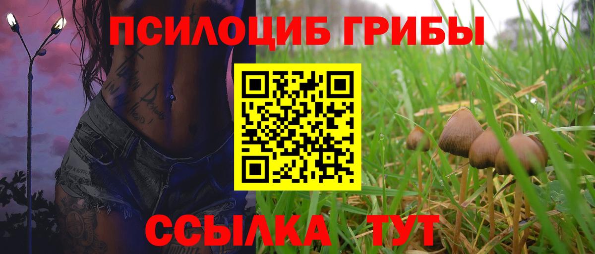 Псилоцибиновые грибы ЛСД Кимры